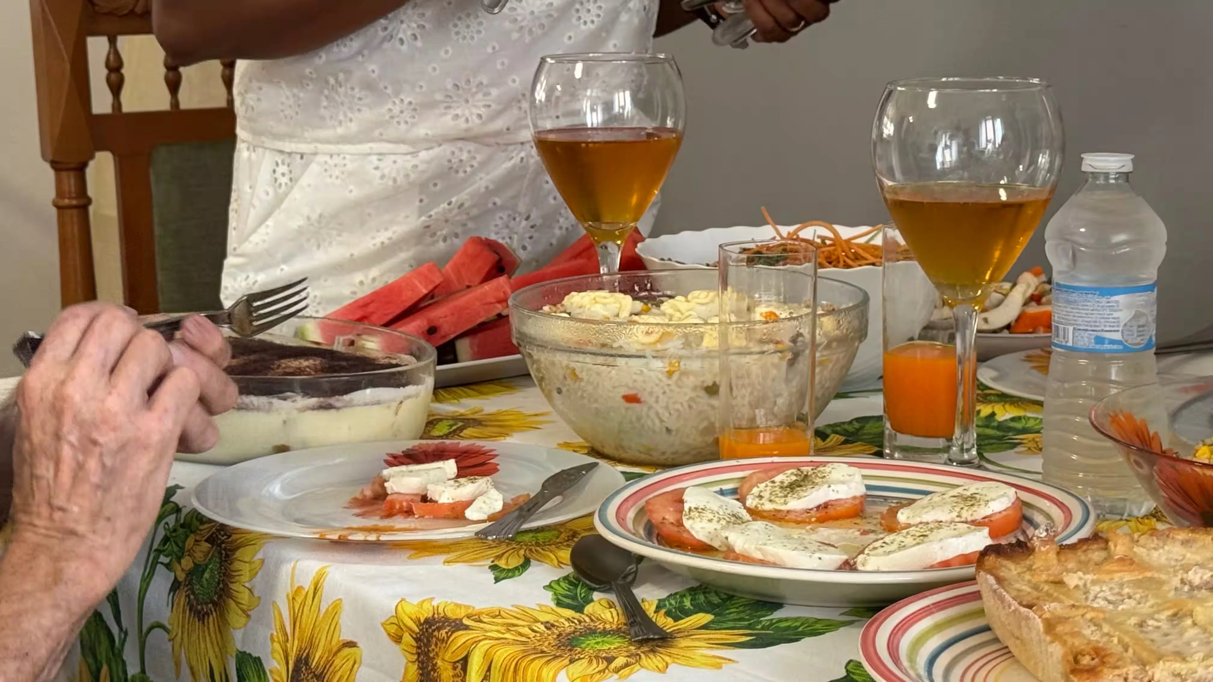 Pranzo con caprese, tiramisù e anguria - Villa Sole Casa Famiglia Roasio